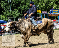 TumbyOne_0771
