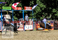 TumbyOne_0872