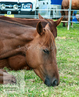 TumbyThree_0013