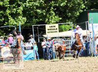 TumbyOne_0037