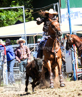 TumbyOne_0073