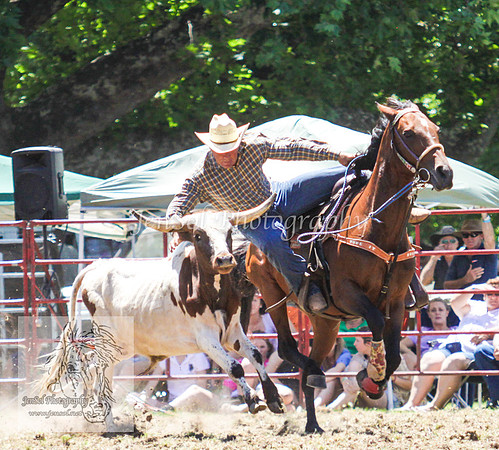 TumbyOne_0527