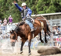 Picton2012_0685