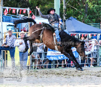 PictonTwo2012_0042
