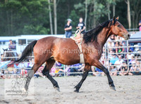 PictonTwo2012_0127