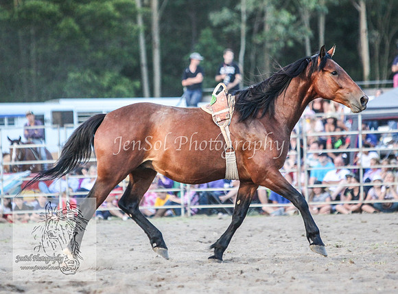 PictonTwo2012_0127