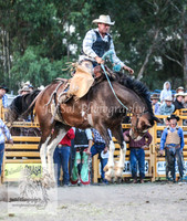 PictonTwo2012_0216