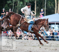 PictonTwo2012_0230