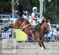 PictonTwo2012_0240