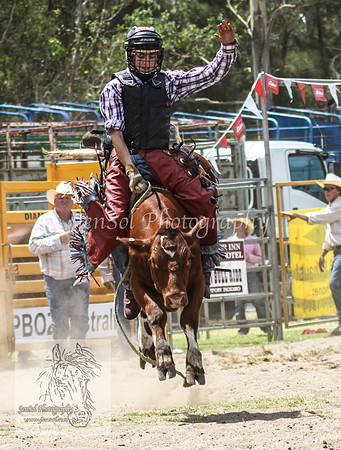 Picton2012_0355