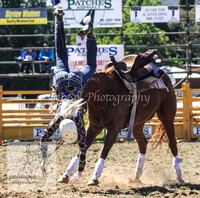 QueanbeyanOne_0078