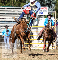 QueanbeyanOne_0711