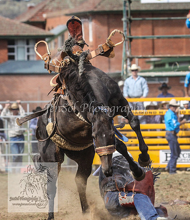 QueanbeyanOne_0679