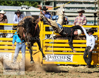 QueanbeyanOne_0743
