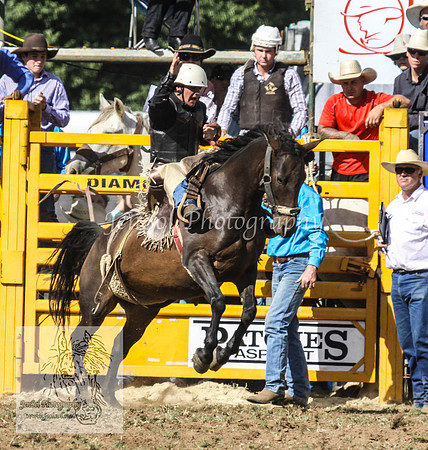 QueanbeyanOne_0735