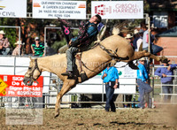 Broncs