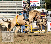 QueanbeyanOne_1086