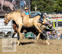QueanbeyanOne_1088