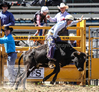 QueanbeyanOne_0237