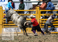 QueanbeyanOne_0525