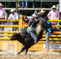 QueanbeyanOne_0531