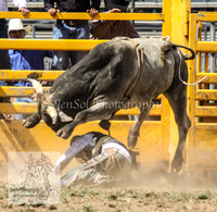 QueanbeyanOne_0576