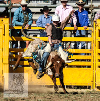 QueanbeyanOne_0859