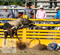 Queanbeyan Rodeo 2012