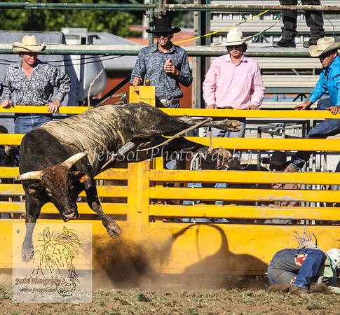 QueanbeyanOne_1006
