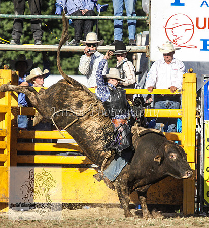 QueanbeyanOne_1118