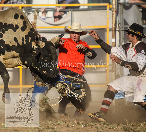 QueanbeyanOne_1177