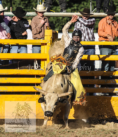 QueanbeyanOne_1190