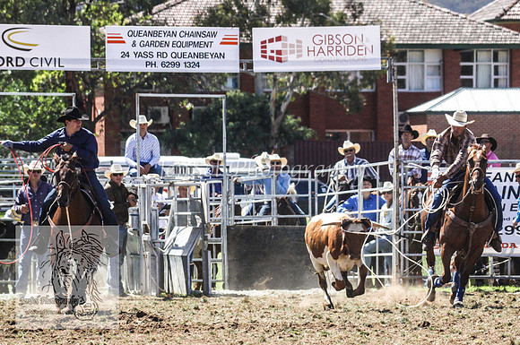 QueanbeyanOne_0164