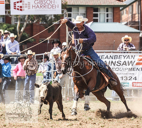 QueanbeyanOne_0419