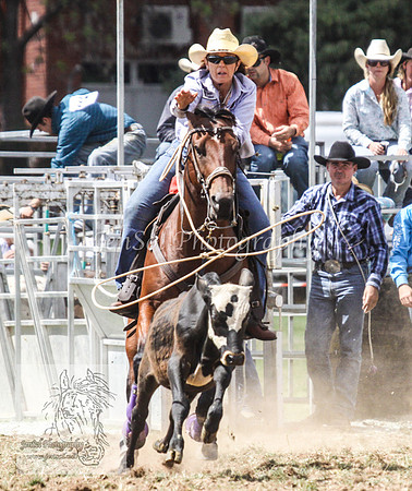 QueanbeyanOne_0478