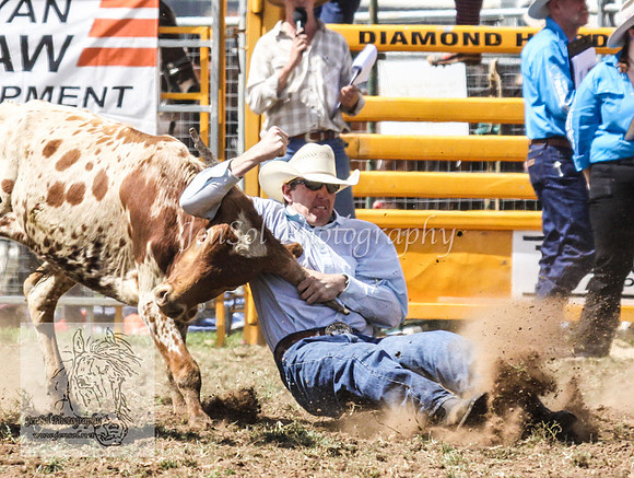 QueanbeyanOne_0492