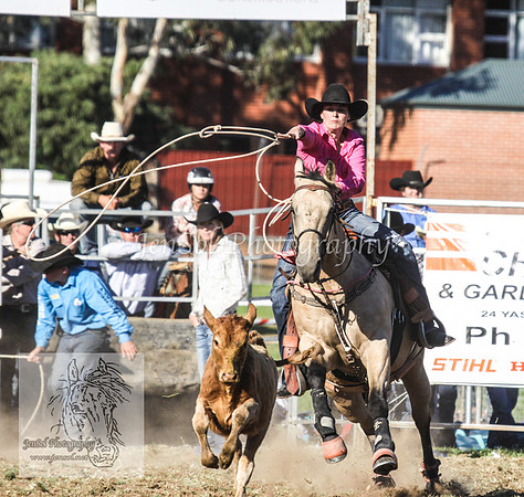 QueanbeyanOne_1019