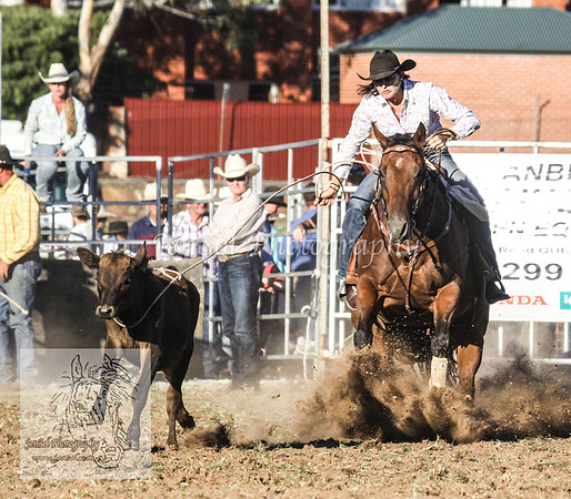 QueanbeyanOne_1235