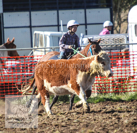 NimmitySat_0274