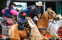 BraidwoodPM_0168