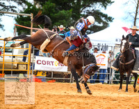 BraidwoodPM_0290