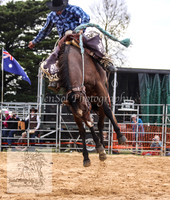 BraidwoodPMKJS_0153