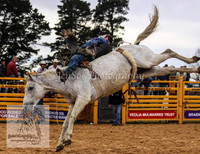 Broncs