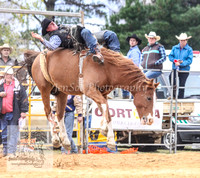 BraidwoodPMKJS_0643