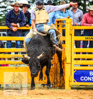 BraidwoodPM_0005