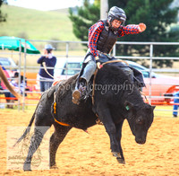BraidwoodAM5D_0052