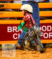 Steers