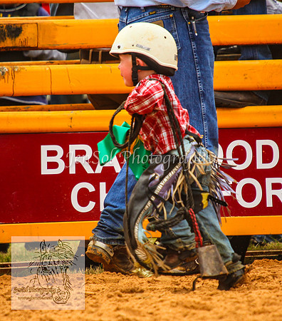 BraidwoodAM5D_0297