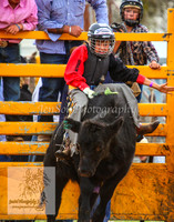 BraidwoodAM5D_0387
