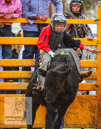 BraidwoodAM5D_0387